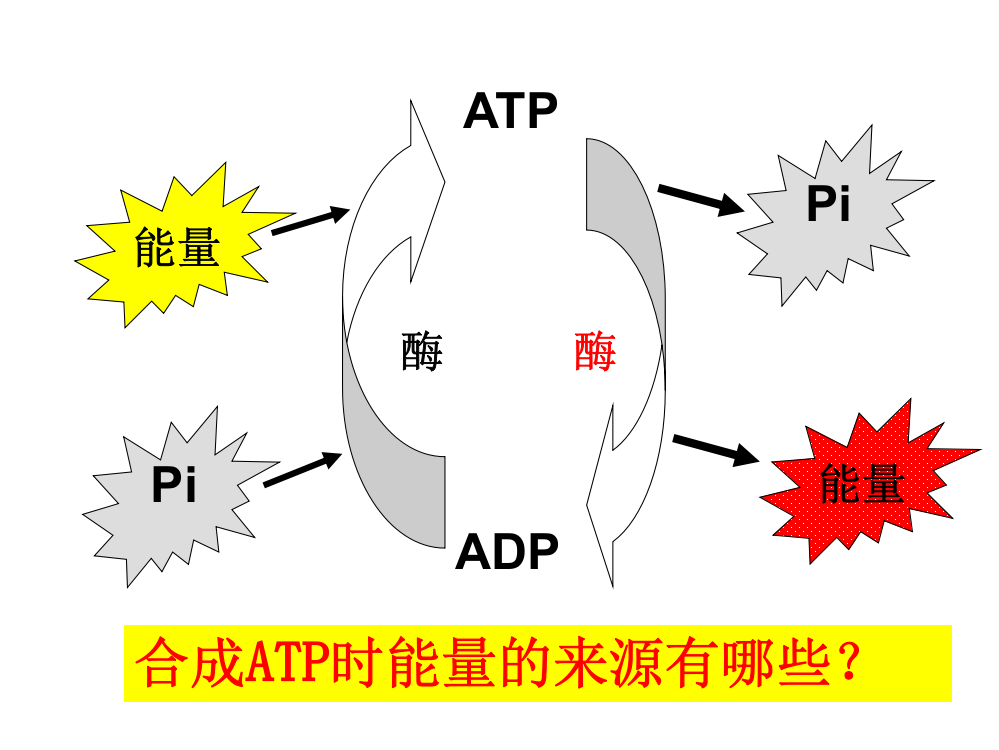 ATP的主要来源细胞呼吸彭真PPT课件