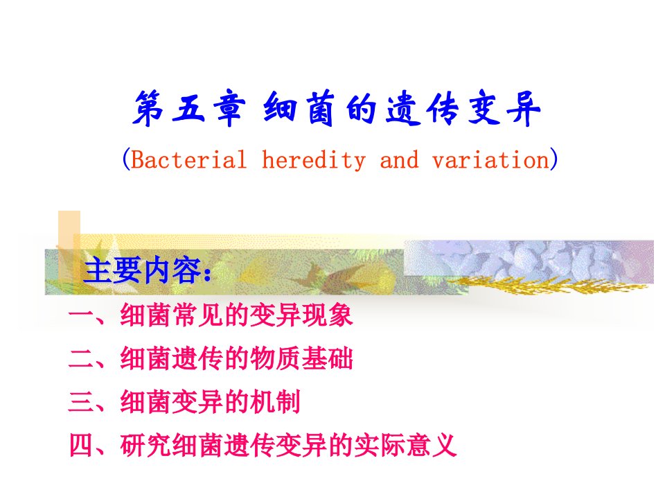 兽医微生物第五章