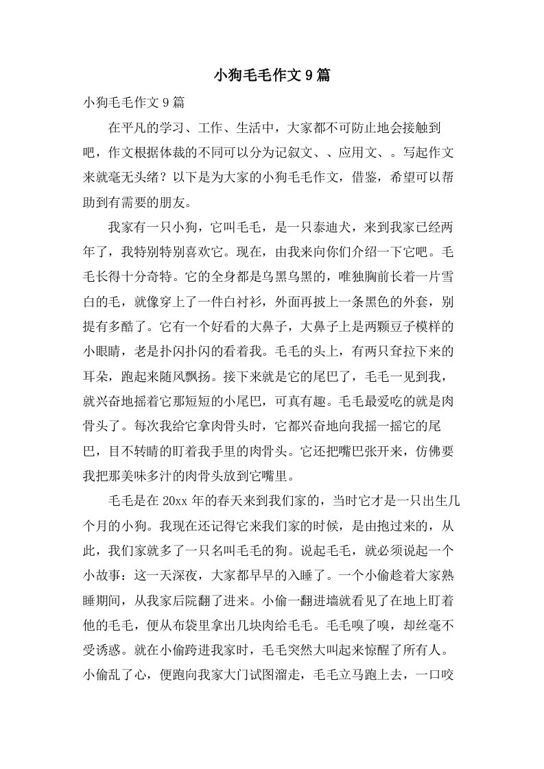 小狗毛毛作文9篇