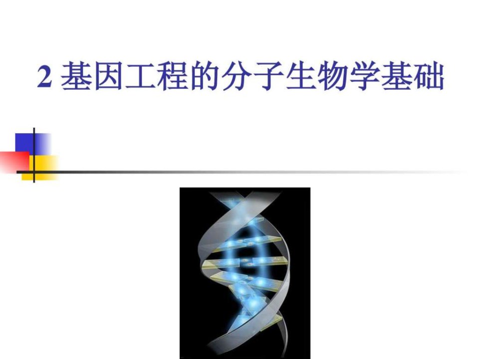 基因工程的分子生物学基础