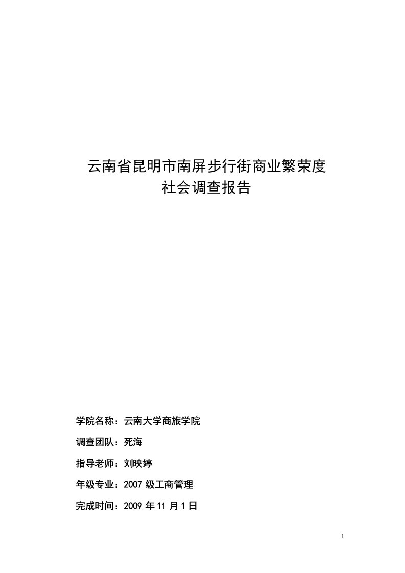 关于云南昆明南屏步行街商业繁荣度调查