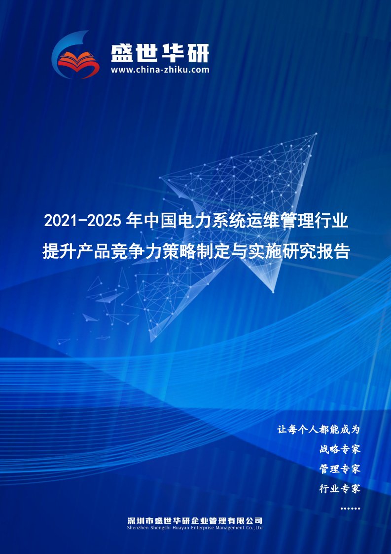 2021-2025年中国电力系统运维管理行业提升产品竞争力策略制定与实施研究报告