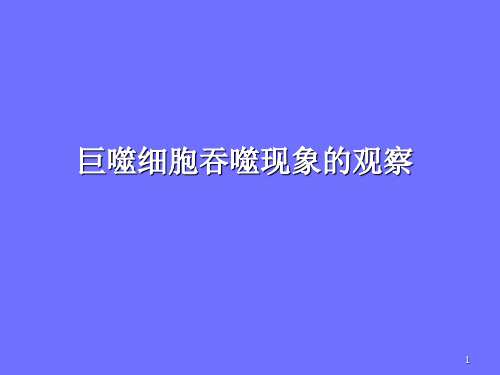 小鼠巨噬细胞吞噬鸡红细胞实验ppt课件