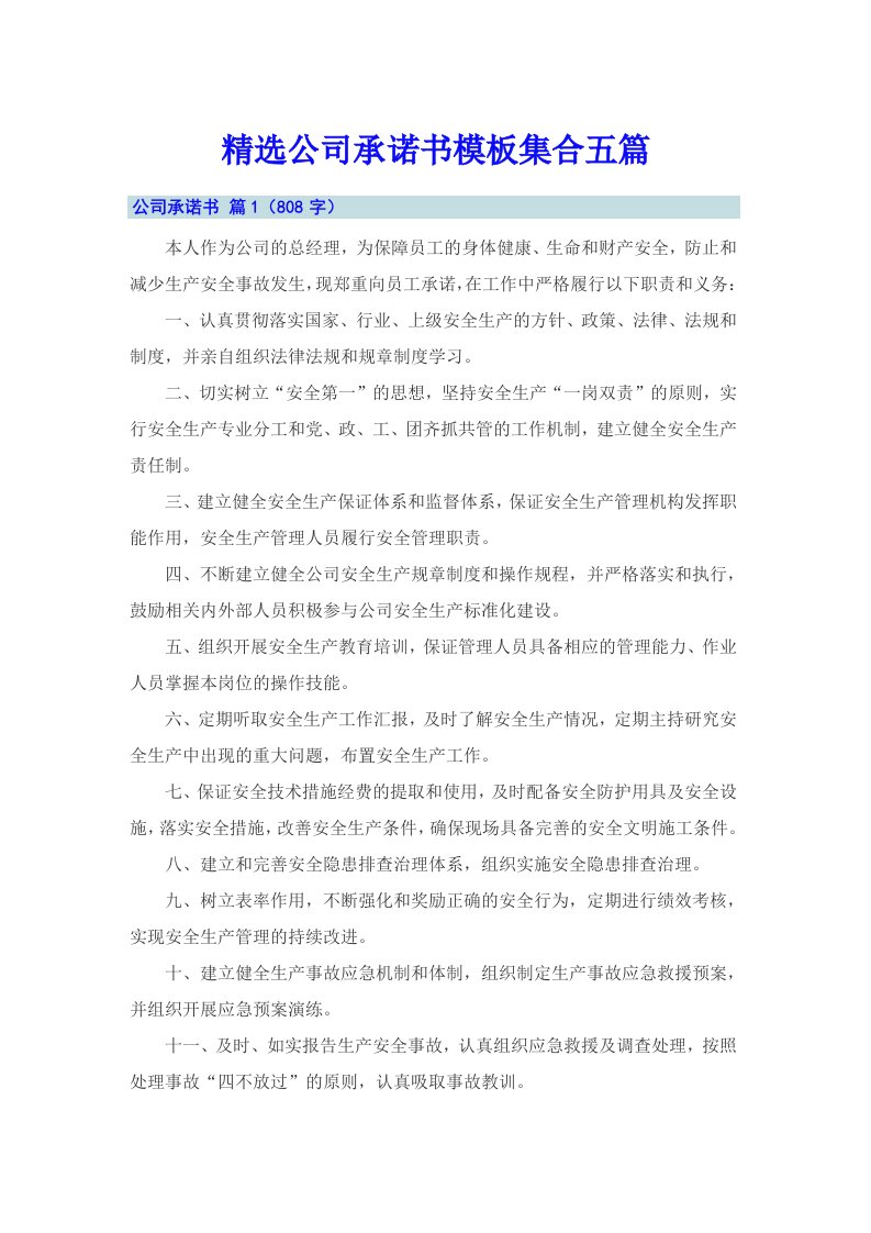 精选公司承诺书模板集合五篇