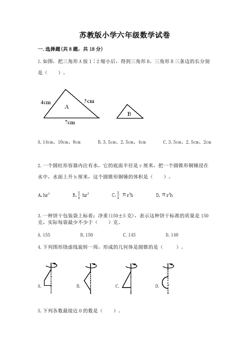 苏教版小学六年级数学试卷（夺冠系列）