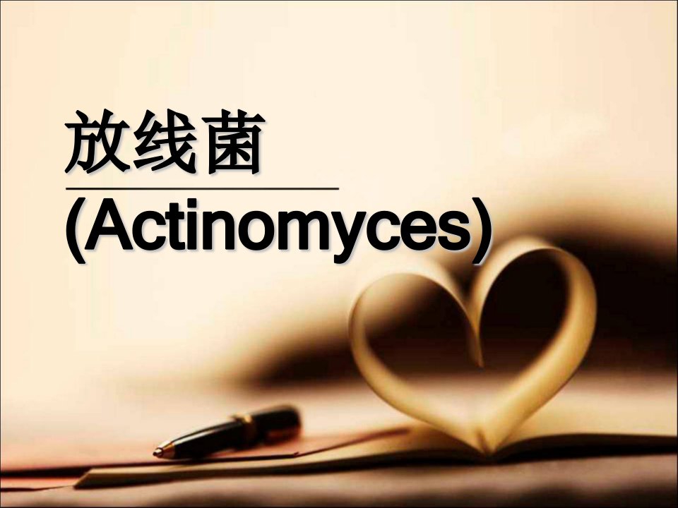 微生物学课件：放线菌(Actinomyces)