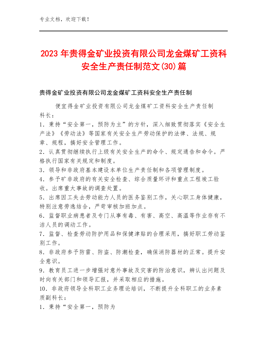 2023年贵得金矿业投资有限公司龙金煤矿工资科安全生产责任制范文(30)篇