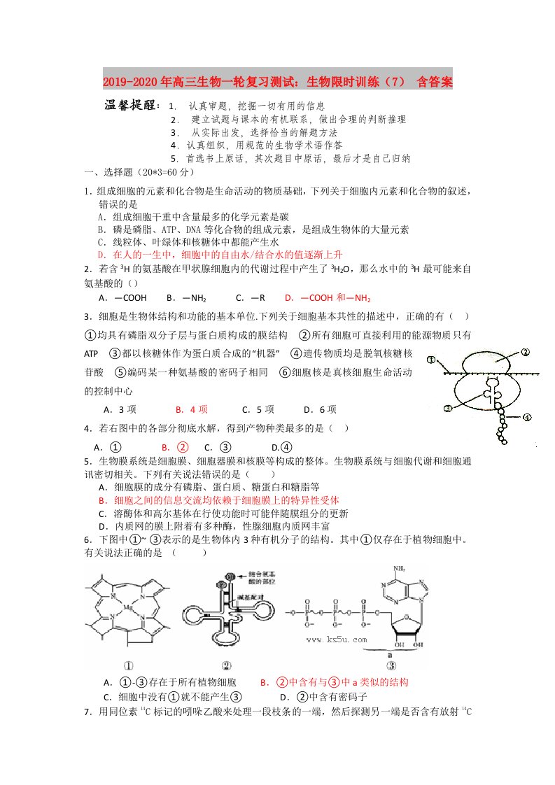 2019-2020年高三生物一轮复习测试：生物限时训练（7）