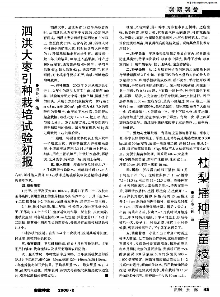 杜梨播种育苗技术.pdf