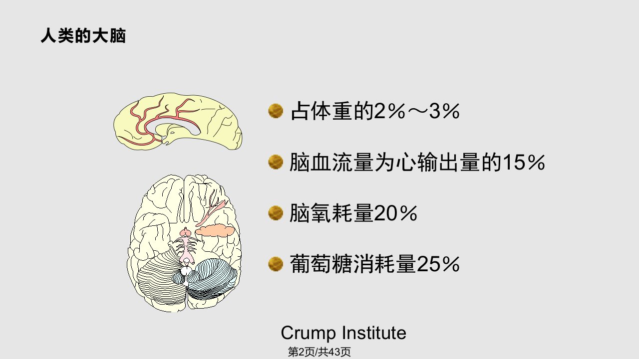 老年性痴呆AD概况