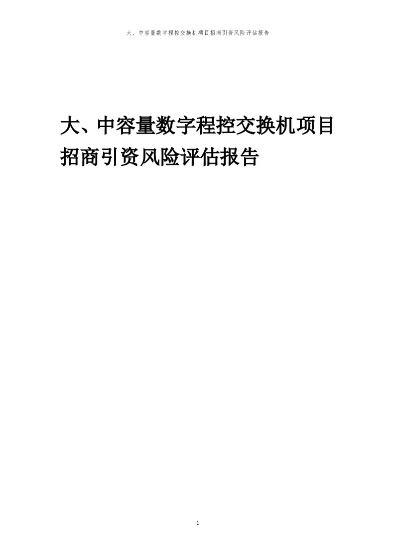 大、中容量数字程控交换机项目招商引资风险评估报告