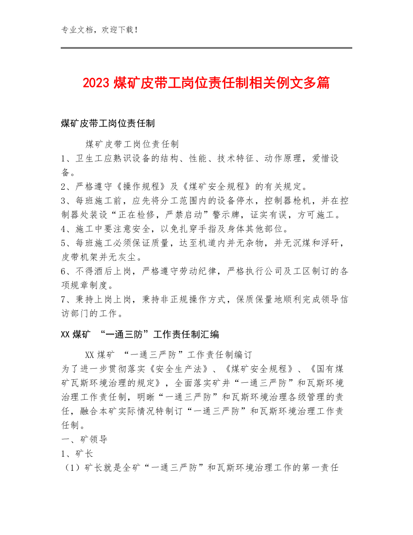 2023煤矿皮带工岗位责任制例文多篇