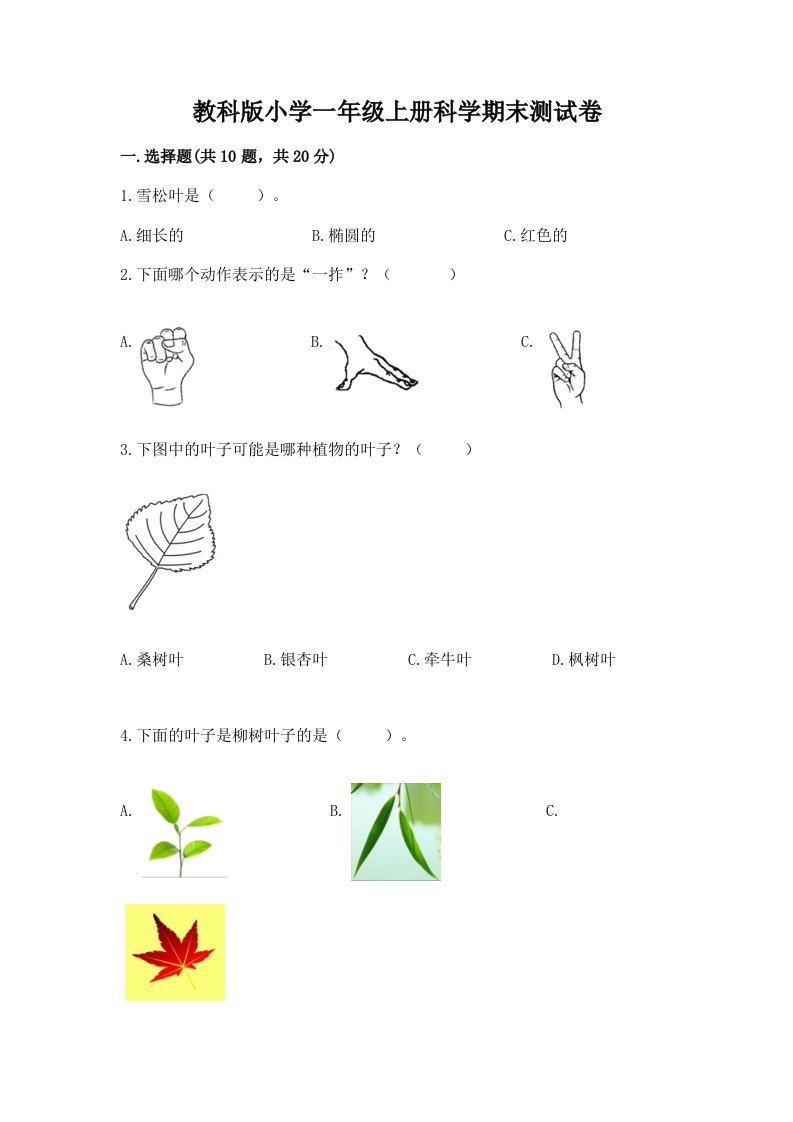 教科版小学一年级上册科学期末测试卷及完整答案【各地真题】