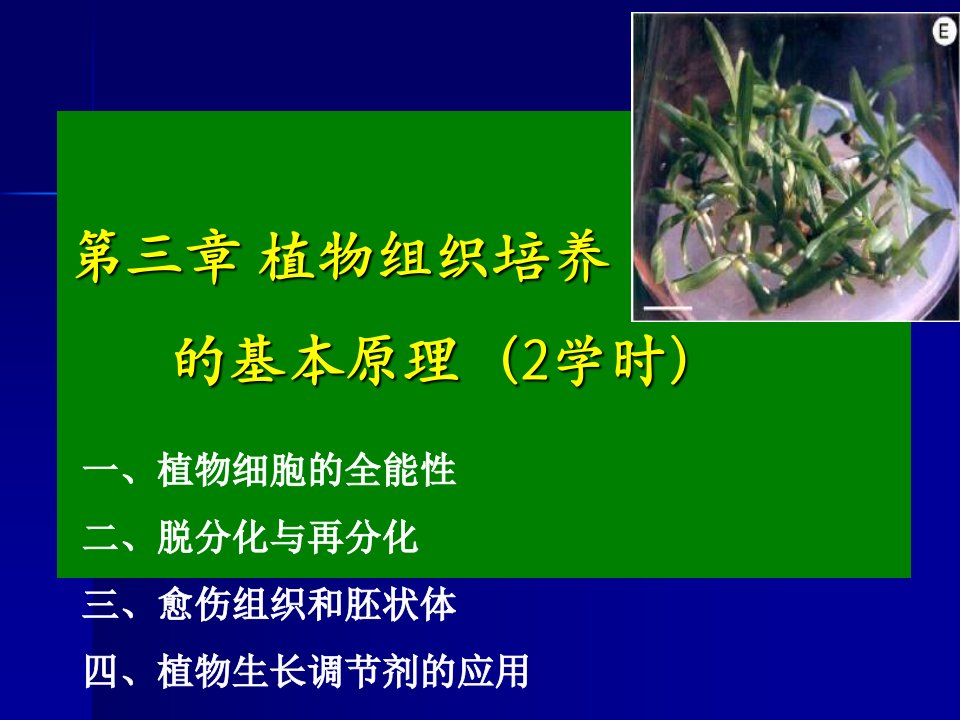 第3章植物组织培养的基本原理6学时