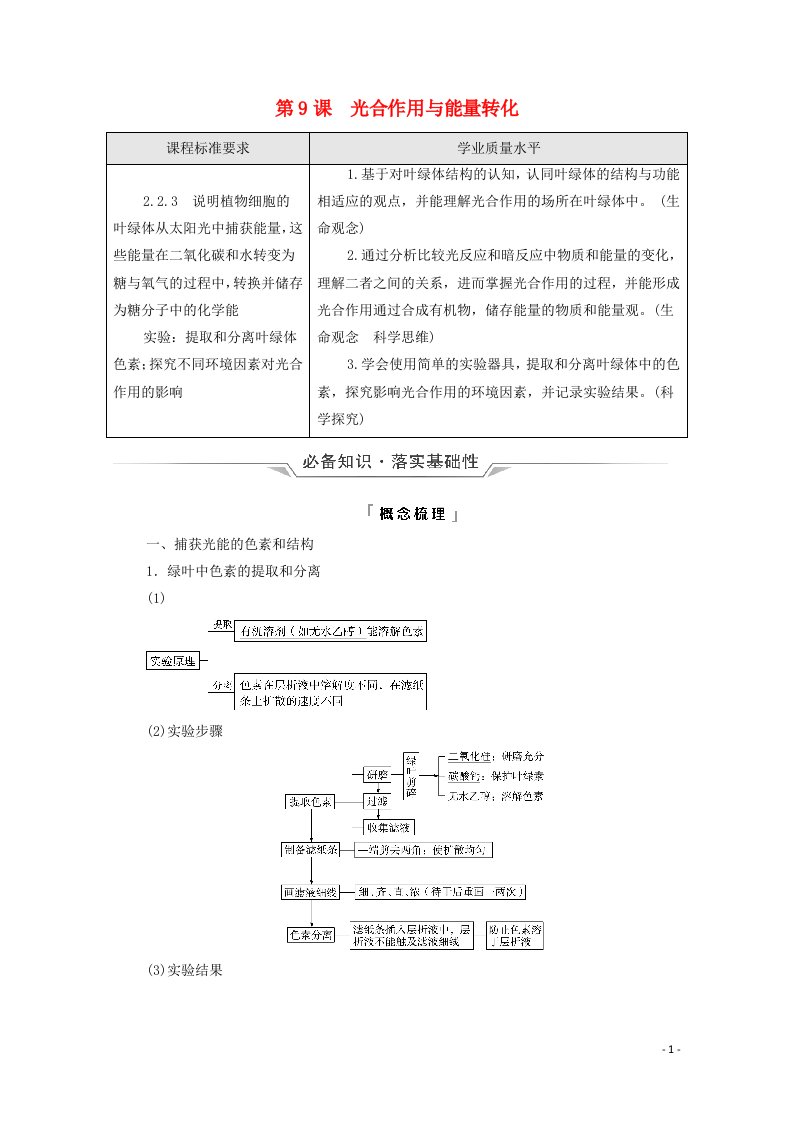 2022版新教材高考生物一轮复习第3单元细胞的能量供应和利用第9课光合作用与能量转化学案新人教版20210618250