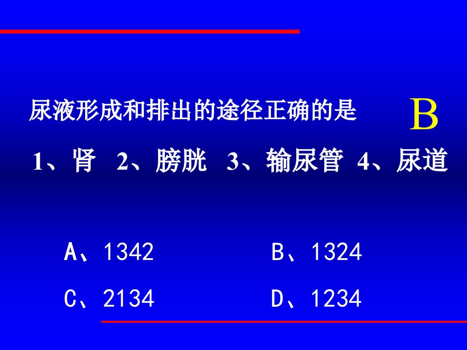 尿液形成的过程ppt课件