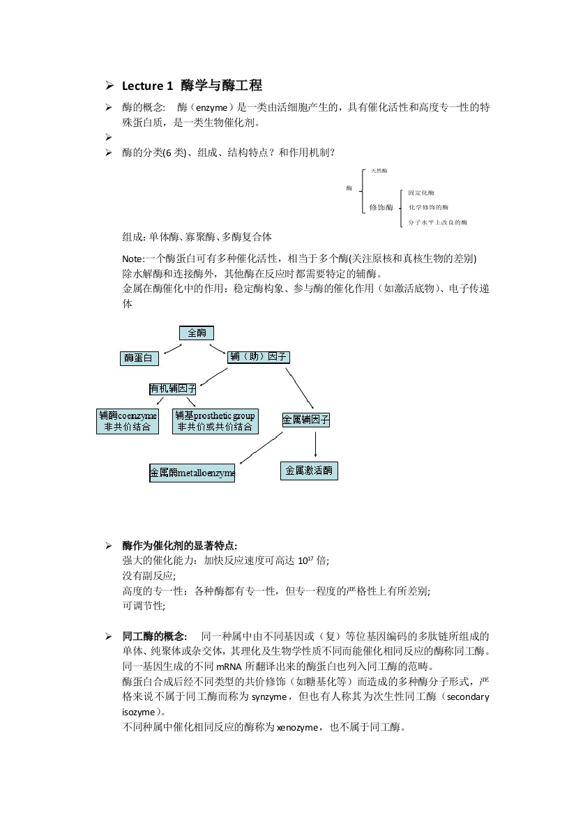 酶学与酶工程总结