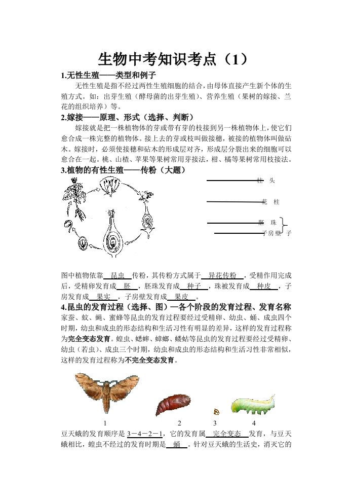 八年级生物中考知识考点