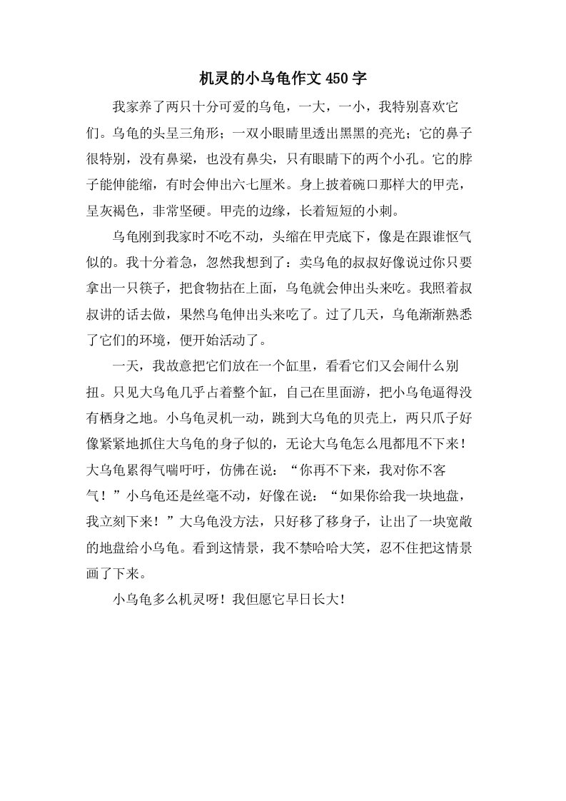 机灵的小乌龟作文450字