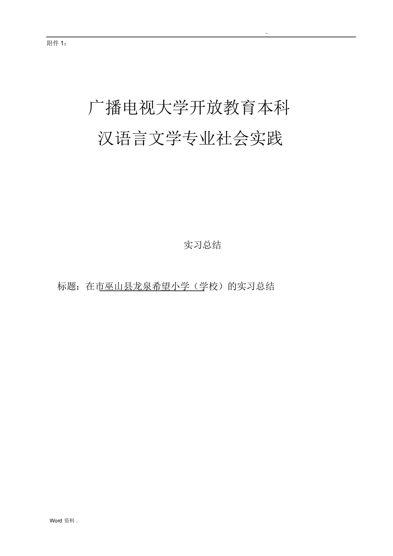 汉语言文学专业社会实践报告