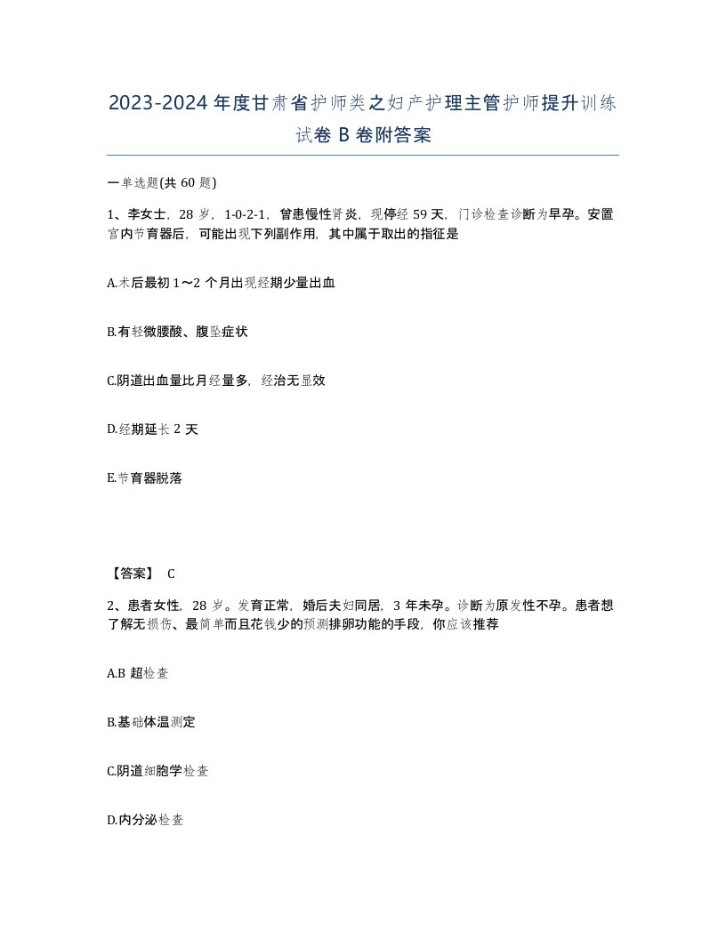 2023-2024年度甘肃省护师类之妇产护理主管护师提升训练试卷B卷附答案