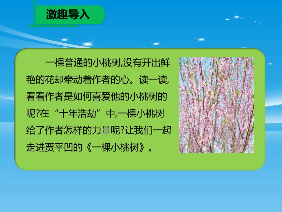 一棵小桃树PPT课件