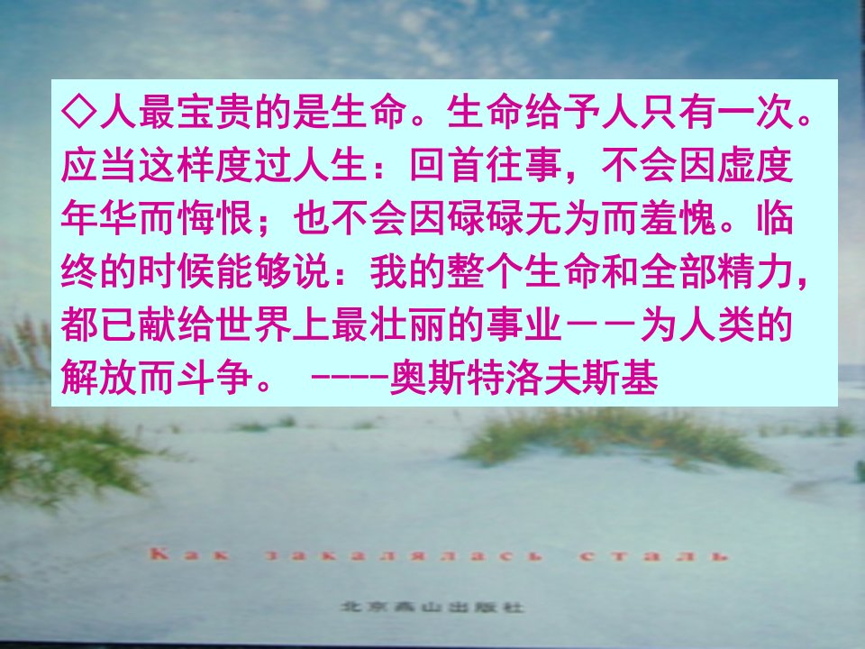 钢铁是怎样炼成的(简要梳理)-课件（PPT·精·选）