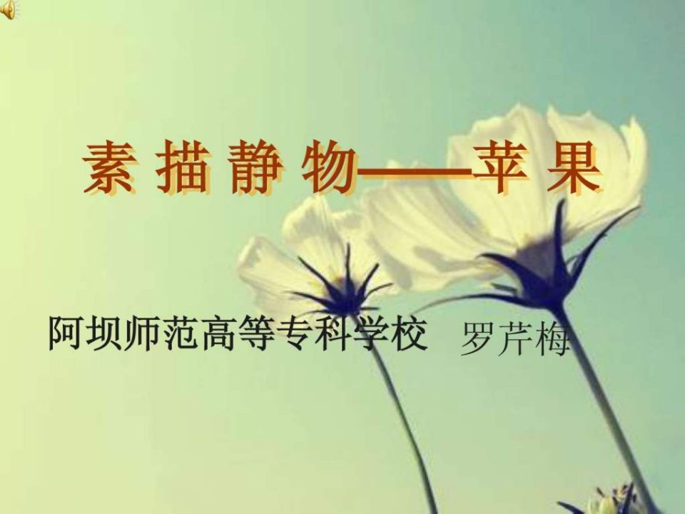 素描静物苹果.ppt