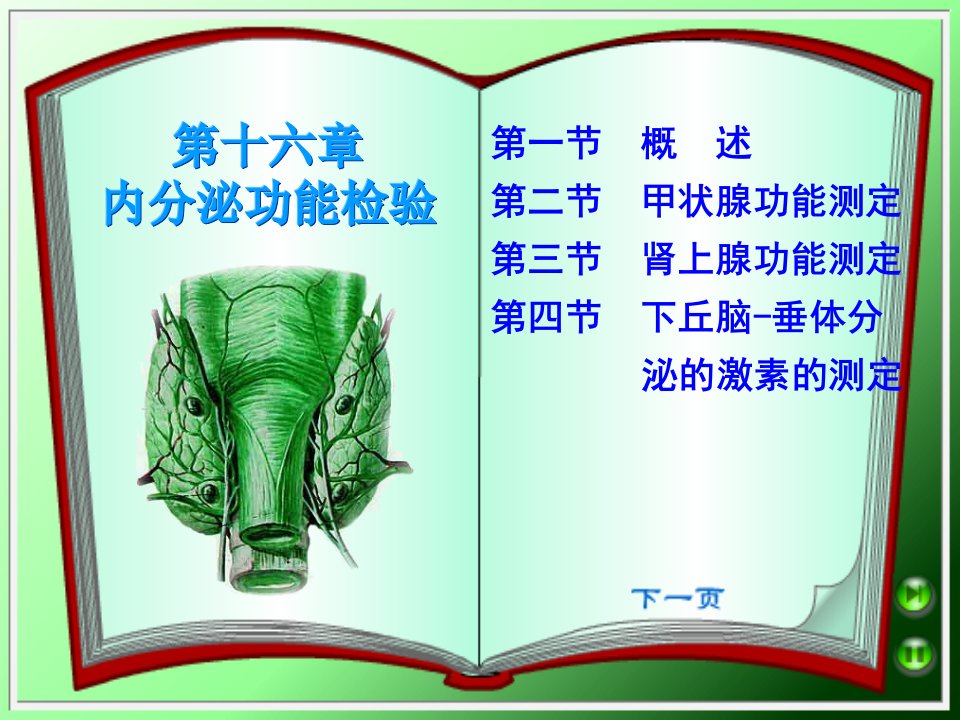 医学PPT课件】内分泌功能检查要点