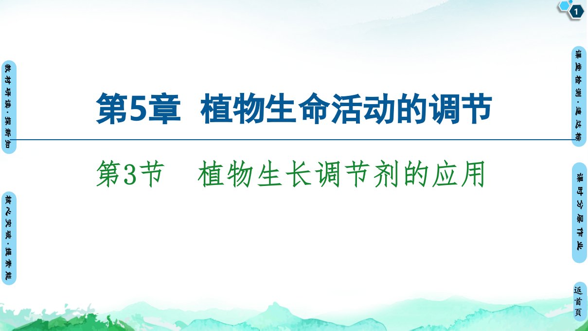 人教版生物《植物生长调节剂的应用》1课件