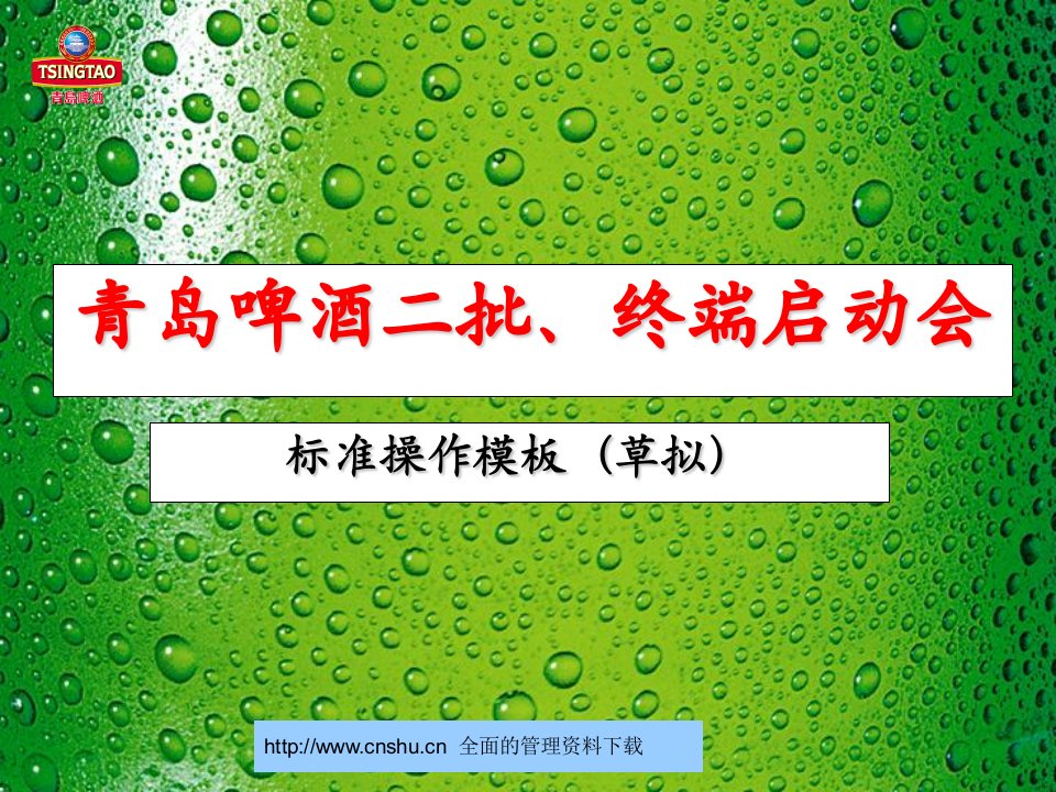 酒类资料-青岛啤酒二批终端启动会标准操作方案xiayong4527