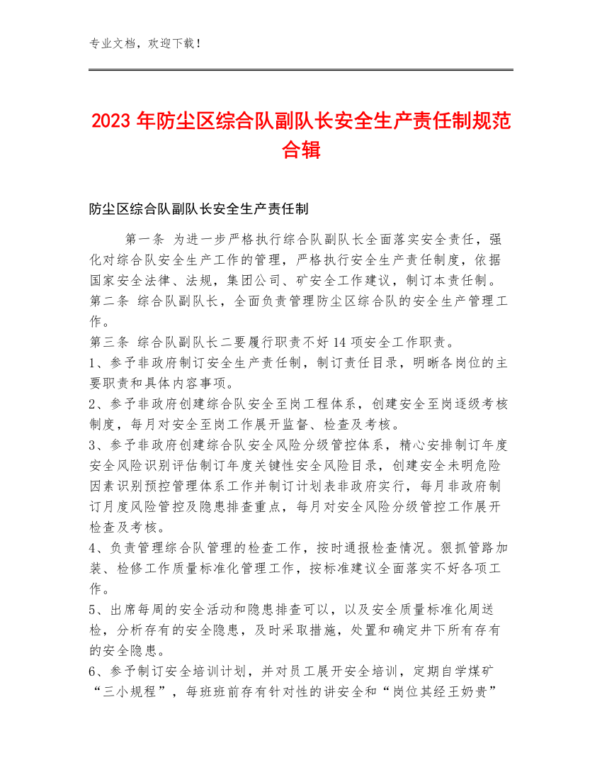 2023年防尘区综合队副队长安全生产责任制规范合辑