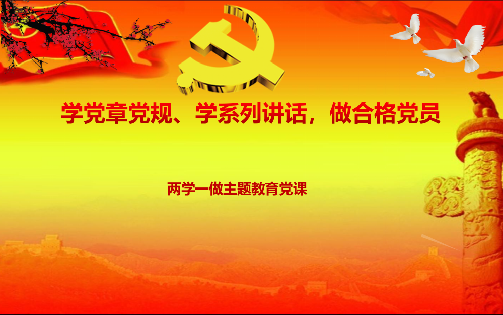 两学一做主题教育党课之学党章党规学系列讲话做合格党员党课课件