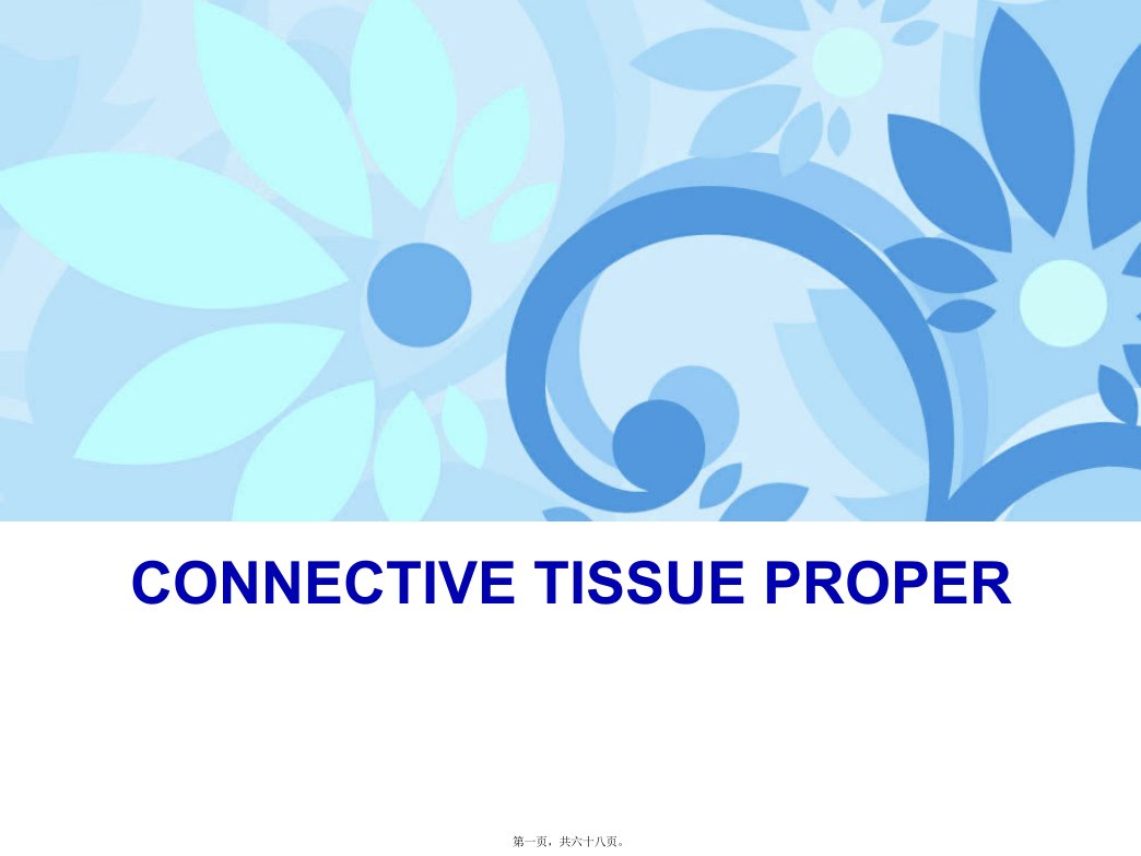 Chapter3-Connective-Tissue-prooper(固有结缔组织)