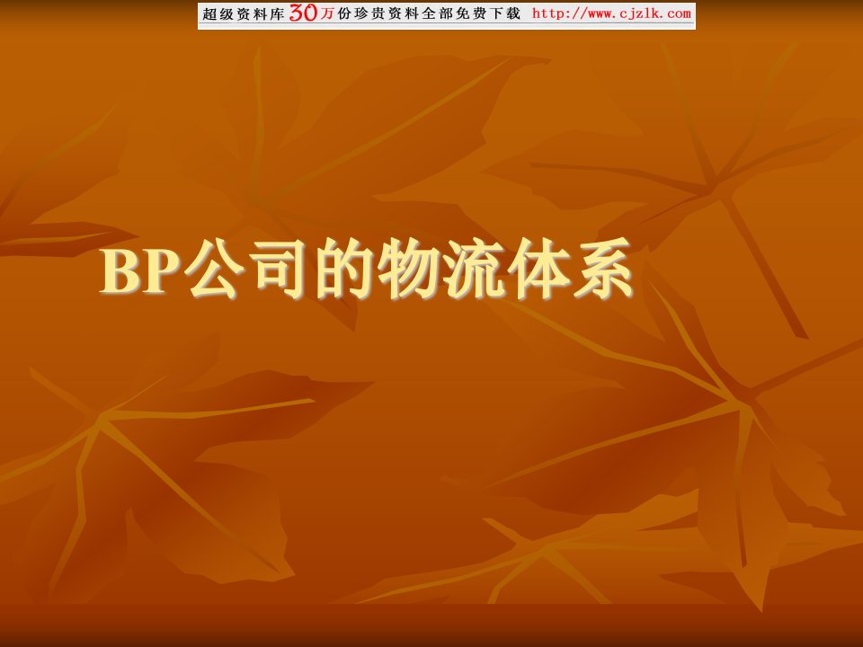 【精品文档】BP公司的物流体系