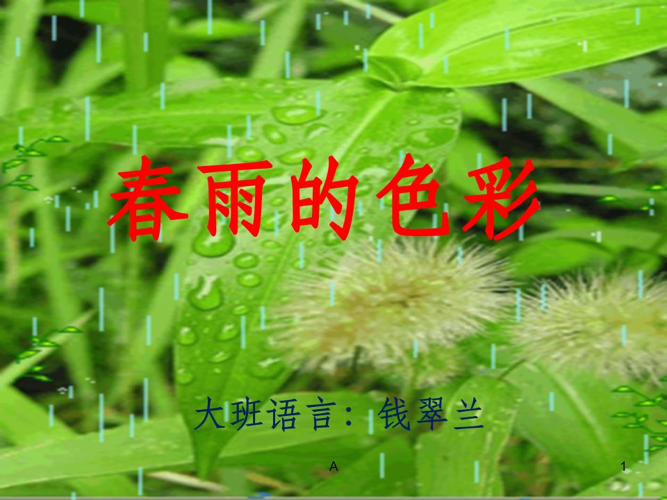 大班语言活动春雨的色彩课件