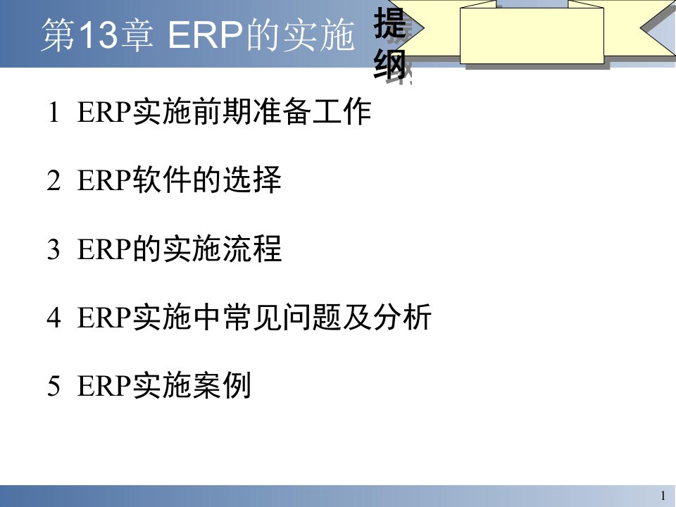 《ERP的实施》PPT课件