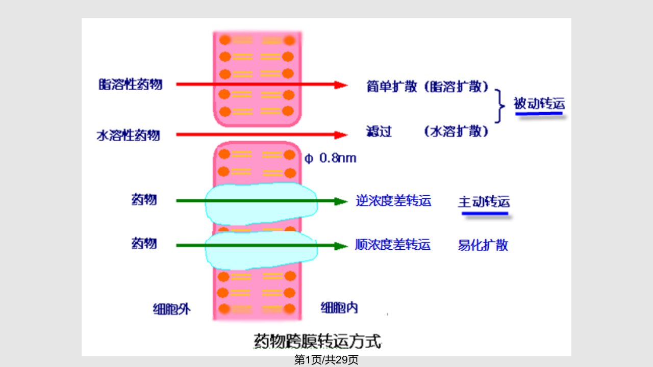 药动学药学PPT课件