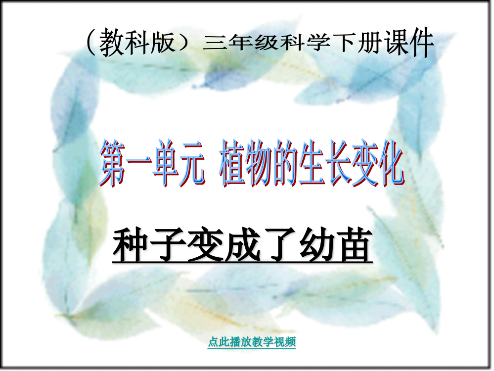 三年级科学下册-14种子变成了幼苗-教科版公开课教案教学设计课件