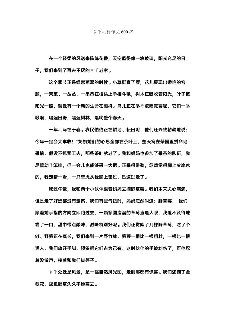 2022乡下之行作文600字