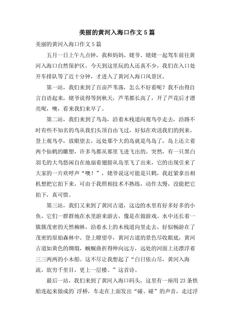 美丽的黄河入海口作文5篇