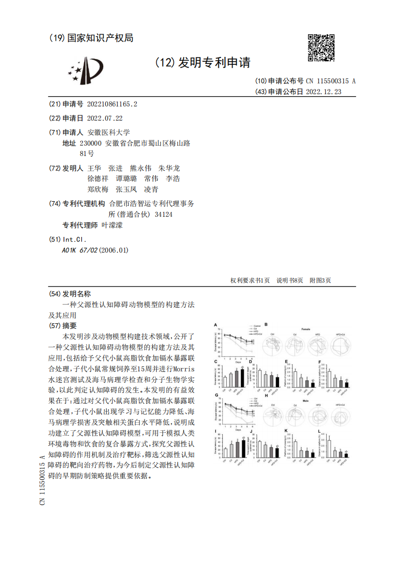 一种父源性认知障碍动物模型的构建方法及其应用