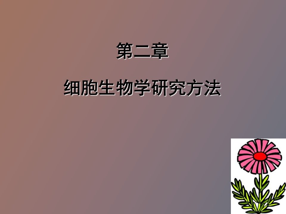 细胞生物学研究方法