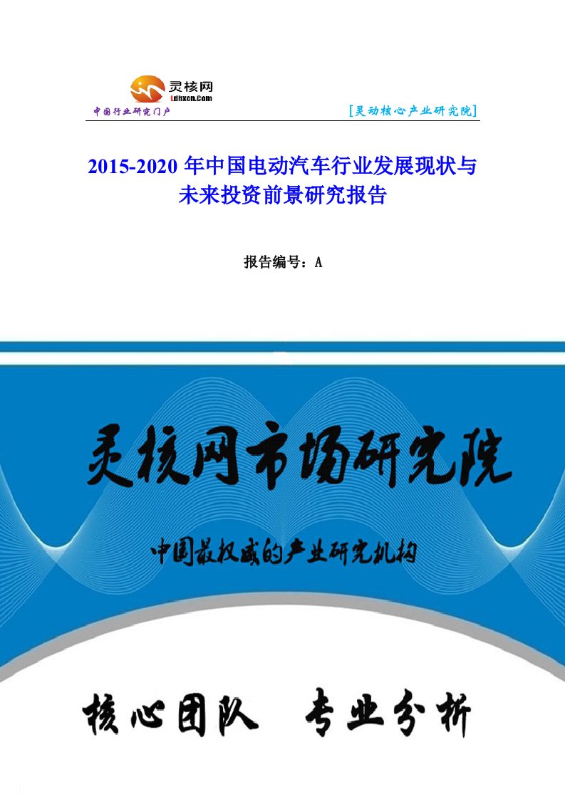 中国电动汽车行业市场分析与发展趋势研究报告-灵核网