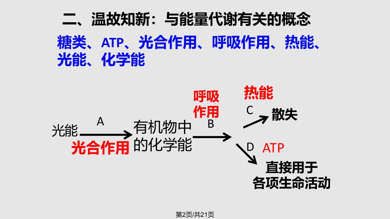 生态系统的能量流动市公开课