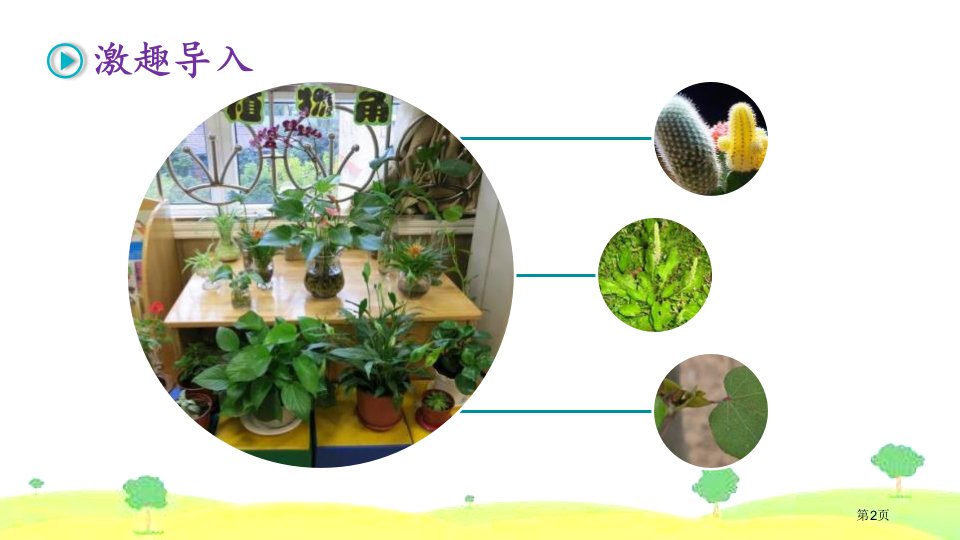 最新三年级语文下册习作我的植物朋友课件10张ppt市公开课一等奖省优质课获奖课件