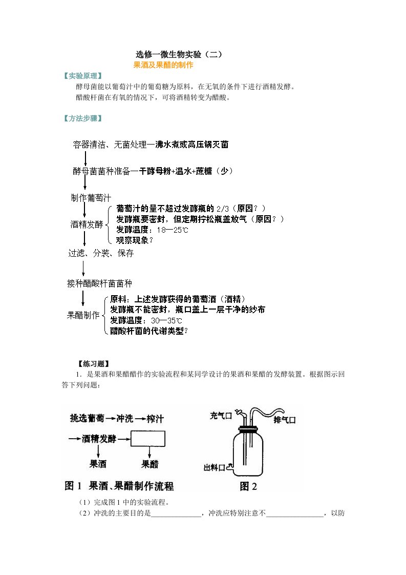 选修一微生物实验