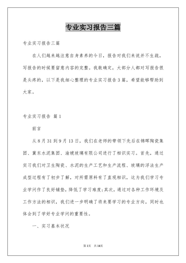 专业实习报告三篇范文2