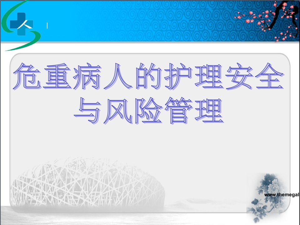 危重病人的相关护理安全与风险管理ppt课件