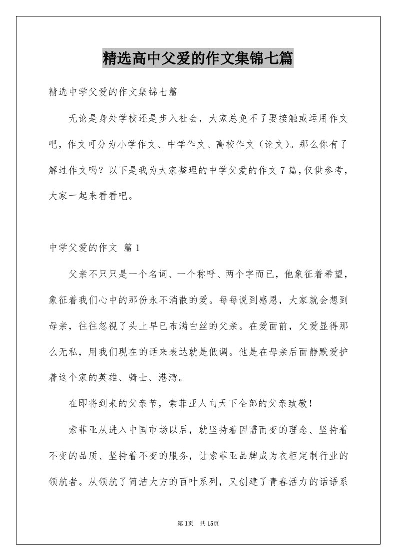 高中父爱的作文集锦七篇